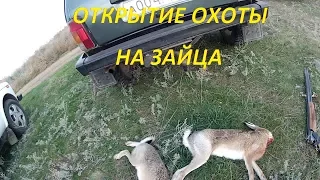 Открытие охоты на зайца