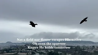 SPARROWS song by JASON GRAY (lyric video)