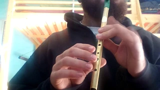 TUTORIAL Tin Whistle | Omnia - Fee Ra Huri