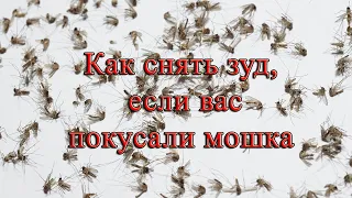 Чем снять зуд от укусов мошки и комаров.