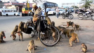 Incredible India or Kind man from Jaipur