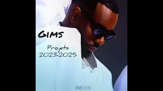 GIMS - Mes futurs projets (2023-2025)