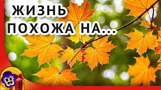 Годы словно как листья летят... Лучшие стихи о жизни и песни