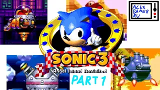 ВСЕ БОССЫ В «SONIC THE HEDGEHOG 3 A.I.R.»