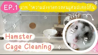 EP 1  Hamster Cage Cleaning มาทำความสะอาดกรงหนูแฮมสเตอร์กัน ( Hamster Boxroom )