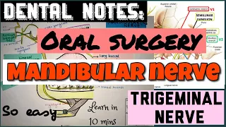 MANDIBULAR NERVE || TRIGEMINAL NERVE || ORAL SURGERY || DENTAL NOTES || (learn in 10 mins)