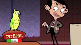 Il pappagallo di Mr Bean! | Episodi completi animati di Mr Bean | Mr Bean Italia