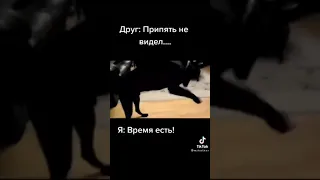 угар сука