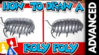 How To Draw A Realistic Roly-Poly Pill Bug - Advanced