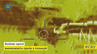 Секретна українська зброя в роботі: бойові кролі виманили орків під снайперський вогонь СБУ