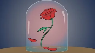 Beauty and the Beast Parody - The Rose