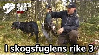 Trailer til filmen: I skogsfuglens rike 3 av Kristoffer Clausen. Hunting capercaillie