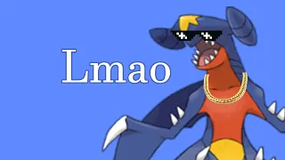 Fighting Cynthia's Garchomp Be Like