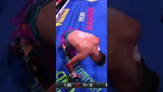 Davis gervonta  (Body punch)