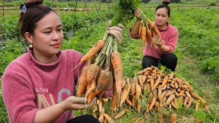 Harvesting Carrot Garden Goes to market sell - Vegetable Gardening - Lý Thị Ca