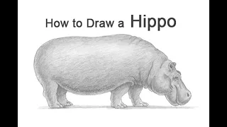 How to Draw a Hippopotamus