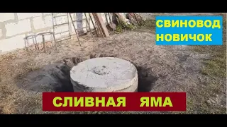 Навозоудаление в сарае для свиней, СВОИМИ РУКАМИ. Сливная яма. Свиноводство.