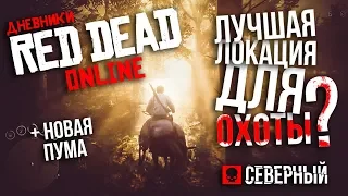 Лучшая локация для охоты в Red Dead Online | БЕСКОНЕЧНЫЕ ДЕНЬГИ