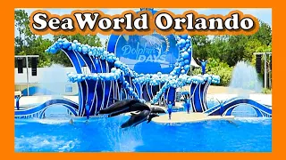 SeaWorld Orlando - Dolphin Days (Full Show)