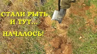 СТАЛИ РЫТЬ И ТУТ...НАЧАЛОСЬ! ГЛАЗАМ НЕ ПОВЕРИЛИ!