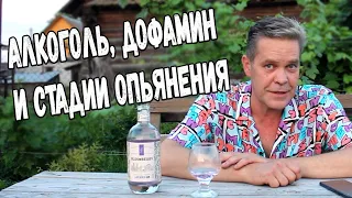 Занимательный алкоголизм. Алкоголь, дофамин  и стадии опьянения.