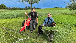 CHEF'S DAUGHTER and UKRAINIAN on a FARM in Switzerland, work on SUNDAY