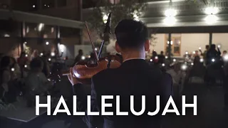 HALLELUJAH - LIVE violin cover by David Bay
