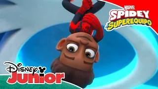 Marvel Spidey y su Superequipo: Web Ster | Disney Junior Oficial