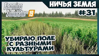 Убираю урожай на поле с разными культурами ✸ No Man's Land - ч.31 ✸ Farming Simulator 19