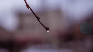 Rainy Street Photography POV