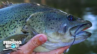 Surface fishing for Murray Cod