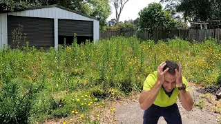 NO PERMISSION! NO PAY! 100% Satisfaction! Oddly Satisfying Yard Makeover