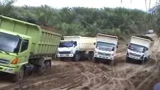 Isuzu Trucks around the World