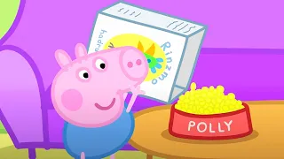 Peppa Pig Nederlands Compilatie Nieuwe Afleveringen | Polly Op Vakantie | Tekenfilm | Peppa de Big
