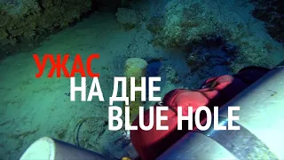 Horror at the bottom of blue hole | 114 м глубина/ 114 m depth