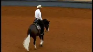 SPOOKS GOTTA GUN, NRHA DERBY 2008 rider Andrea Fappani