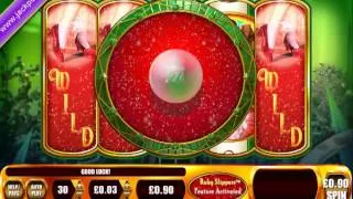 £730.50 MEGA BIG WIN (811 X STAKE) WIZARD OF OZ RUBY SLIPPERS ™ BIG WIN SLOTS AT JACKPOT PARTY