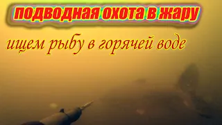 Подводная охота в жару - ищем рыбу в горячей воде.