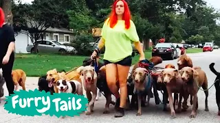 Life With 30 Dogs 🐶 | Furry Tails