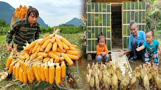 Single mother: Harvests and preserves corn - Grandfather built a cage to raise Ducklings &Daily life