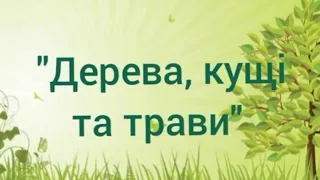 Дитина в природному довкіллі "Дерева, кущі та трави"