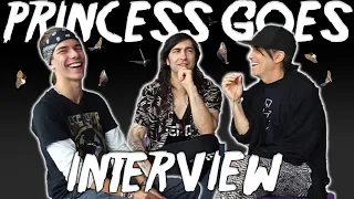 Princess Goes: Interview w/ Matt Katz Bohen & Peter Yanowitz