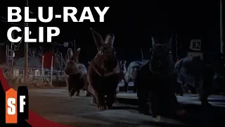 Night Of The Lepus (1972) - Clip: Lepus On The Move