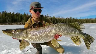 PIKE ARE HUNGRY - Extreme Late Ice Mission (first open water?)