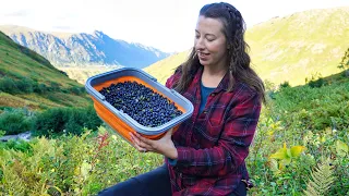 Seasons Are Changing | Honey & Berry Harvest | Wild Alaska