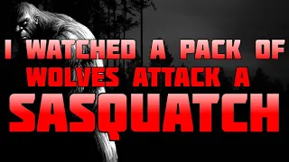 I WATCHED A PACK OF WOLVES ATTACKING A SASQUATCH! & A BOY'S CHILDHOOD BIGFOOT STORY