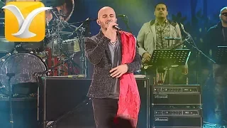 Cultura Profética - Nadie se atreve - Festival de Viña del Mar 2015 HD 1080P