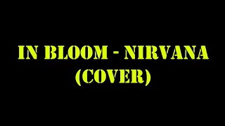 SSN - In Bloom / Nirvana (Cover)