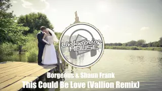 Borgeous & Shaun Frank - This Could Be Love (Vallion Remix)