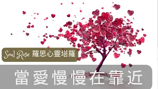 💞🌹 Soul Rose 塔羅占卜: 當愛慢慢在靠近，他/她愛你嗎?🌹💞 (不限時間)